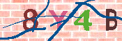 キャプチャ画像