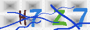 キャプチャ画像