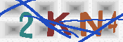 キャプチャ画像