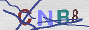 キャプチャ画像