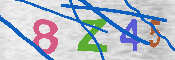 キャプチャ画像