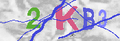 キャプチャ画像