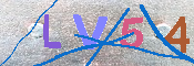キャプチャ画像