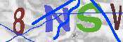 キャプチャ画像