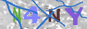 キャプチャ画像