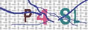キャプチャ画像