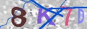 キャプチャ画像