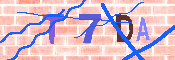 キャプチャ画像
