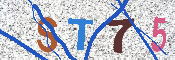キャプチャ画像
