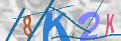 キャプチャ画像
