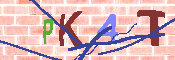 キャプチャ画像