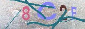 キャプチャ画像