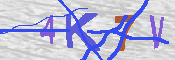 キャプチャ画像