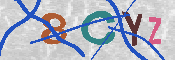 キャプチャ画像