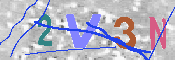 キャプチャ画像