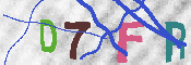 キャプチャ画像