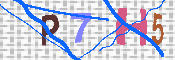キャプチャ画像