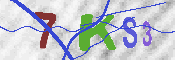 キャプチャ画像