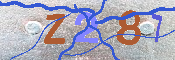 キャプチャ画像