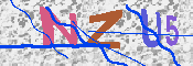 キャプチャ画像