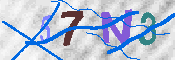 キャプチャ画像