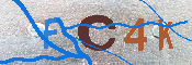 キャプチャ画像