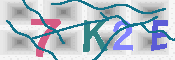 キャプチャ画像