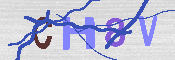 キャプチャ画像
