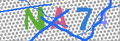 キャプチャ画像