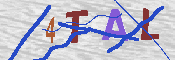 キャプチャ画像