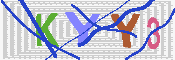 キャプチャ画像