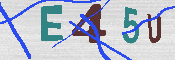 キャプチャ画像