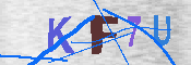 キャプチャ画像