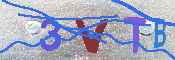 キャプチャ画像