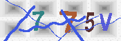 キャプチャ画像