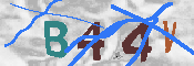 キャプチャ画像