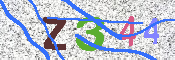 キャプチャ画像