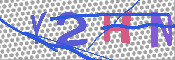 キャプチャ画像