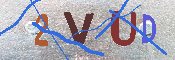 キャプチャ画像