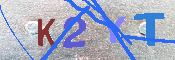 キャプチャ画像
