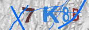 キャプチャ画像