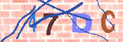 キャプチャ画像
