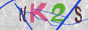キャプチャ画像
