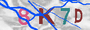 キャプチャ画像