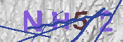キャプチャ画像