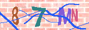キャプチャ画像