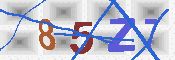 キャプチャ画像