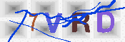 キャプチャ画像