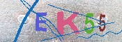 キャプチャ画像