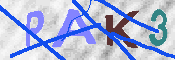 キャプチャ画像